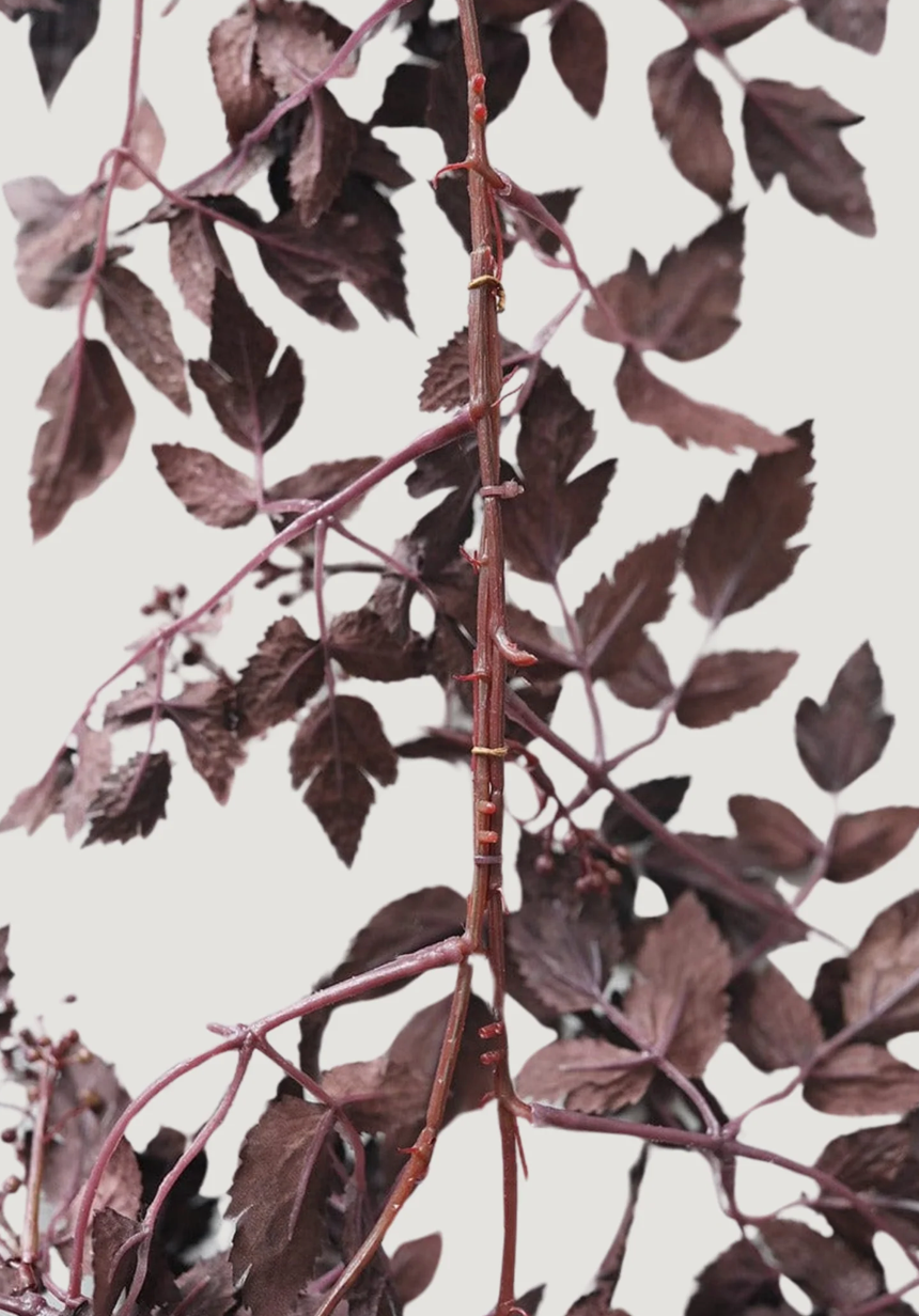 Elan Bazaar - Wholesale Bunting/Garland - 6 Ft Plum Dark Purple Cimicifuga Leaves Fall Autumn Garland3