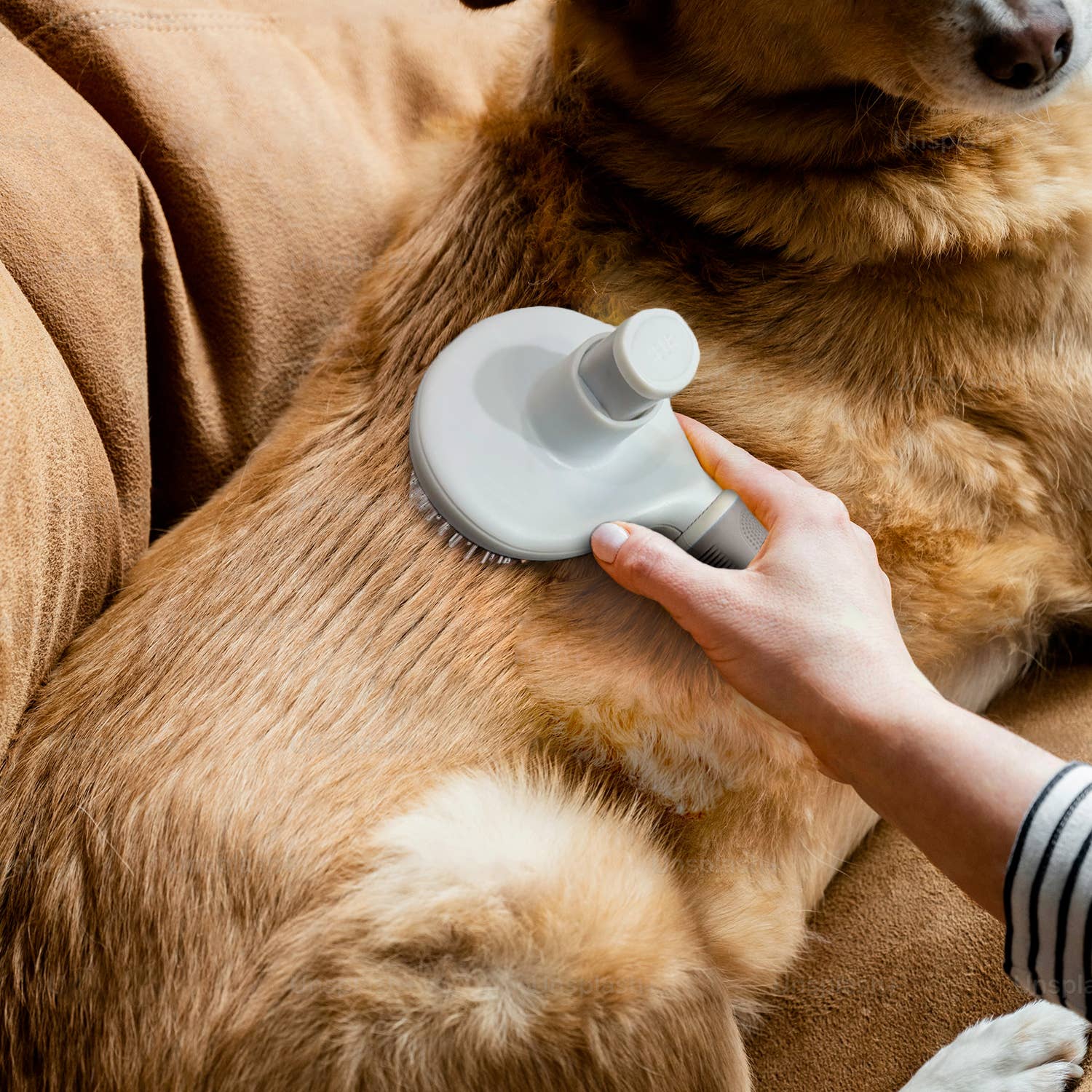 Precious Tails - Vente Brosse – chat et chien - Ocean Plastic par PT Self-Cleaning Pin Slicker Brush5