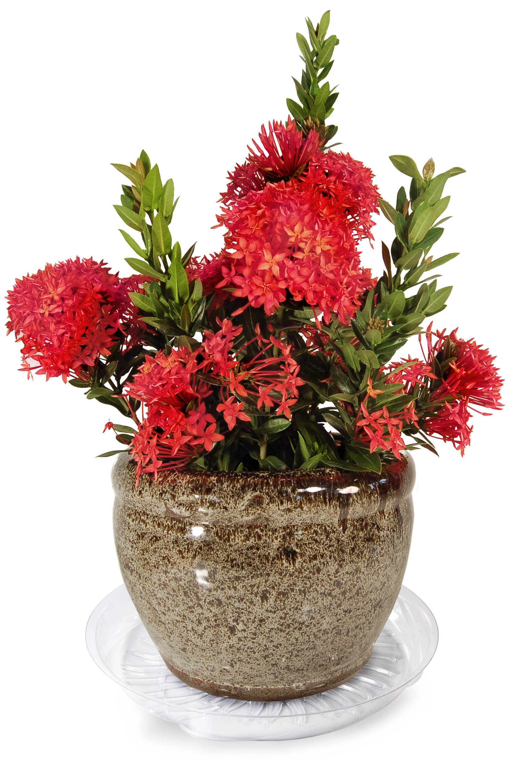 Plastec Products – Engroshandel Underkop – Liteline Underkop 10"1