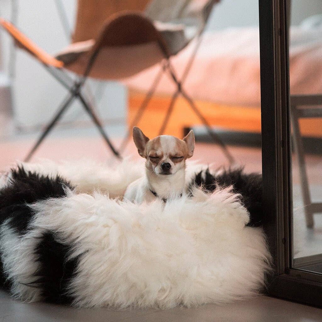 Sheepers - Wholesale Bed voor huisdieren - Hond - Zwart-witte schapenvacht huisdierbed2