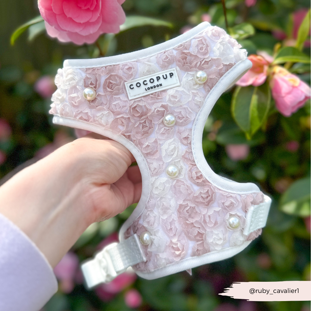 Cocopup London - Wholesale Tuig voor huisdieren - Hond - Cocopup London Pearly Pup verstelbare halsband voor honden5