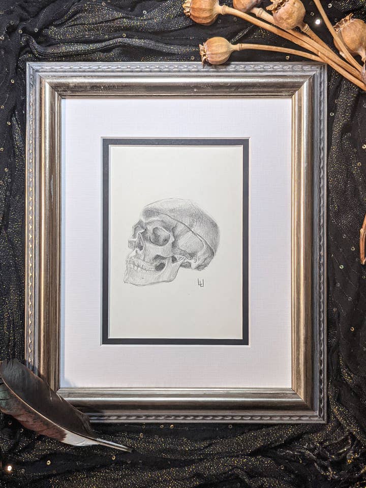 Of What Materials? - Human Skull Drawing for wholesale by Studio Umbralux