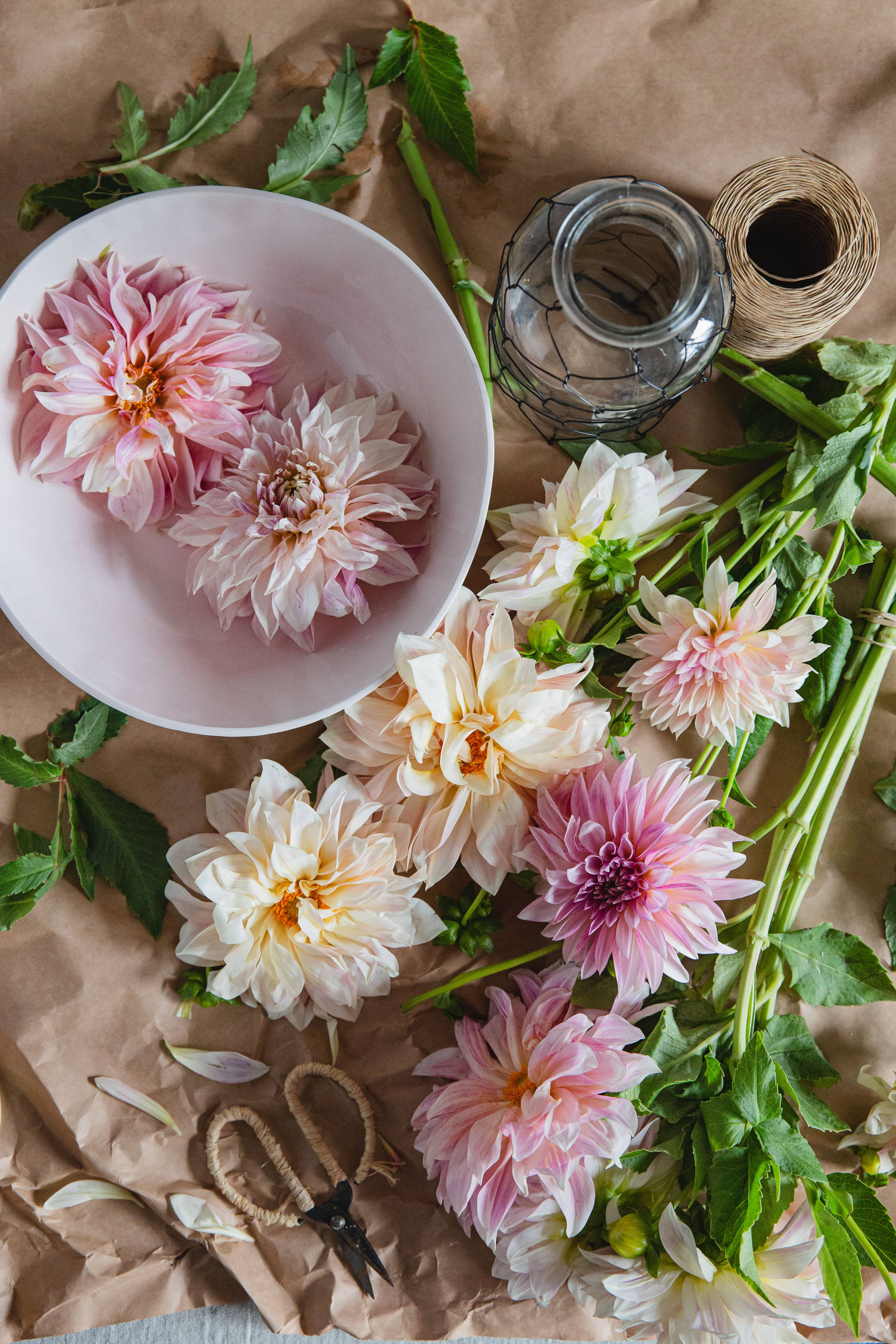 Schiffer Publishing - Wholesale Business & Finance Book - Styling Beyond Instagram8