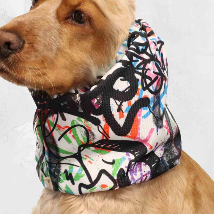 Snood Imperméable pour Chien | Art de Rue pour la vente par Distinguish Me