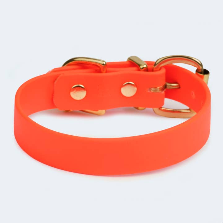Leopold's Finest for dogs - Wholesale Pet Collar - Dog - Dog Collar Adventure3