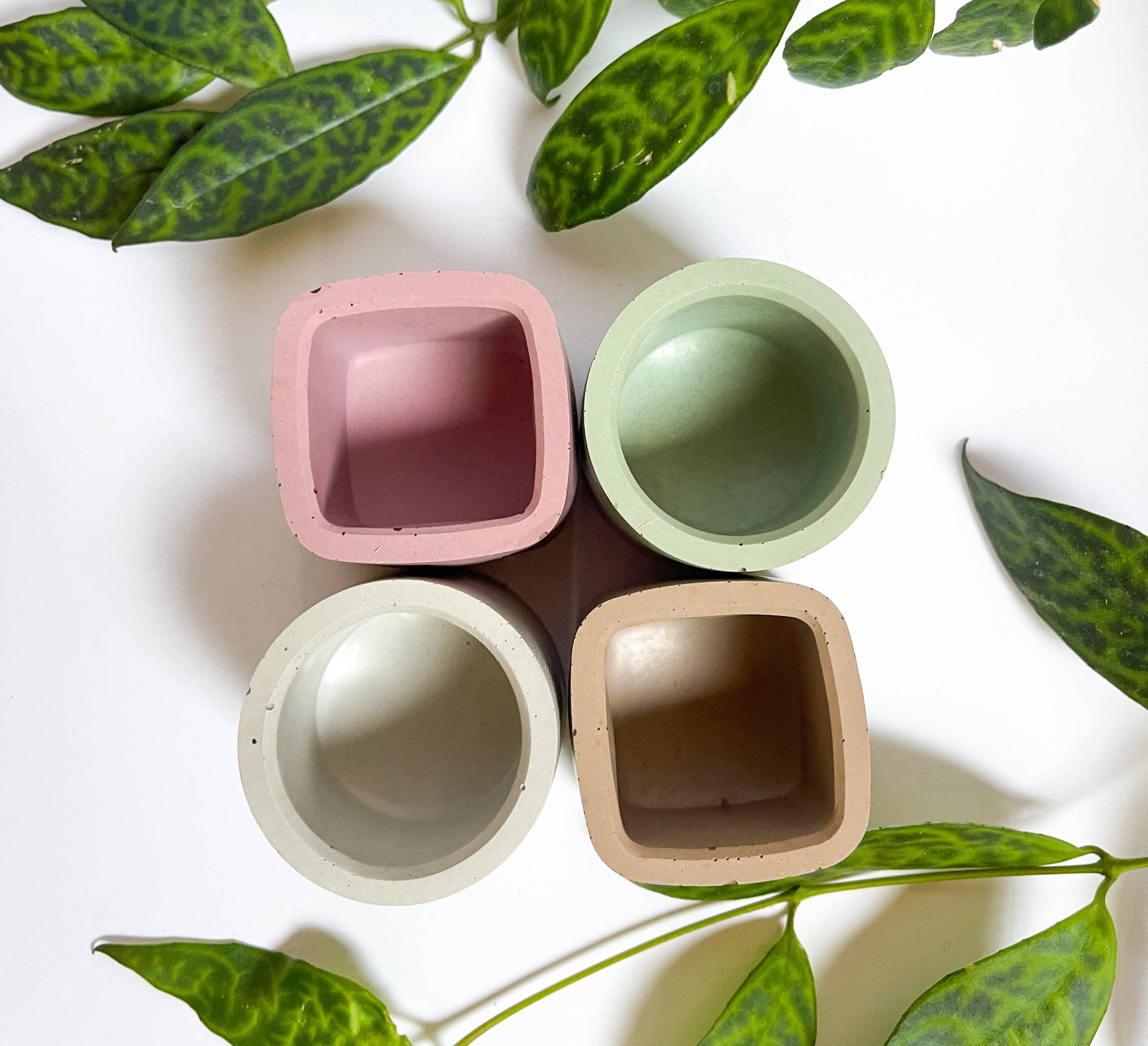 Lex Moderne - Wholesale Plant Pot - Mini Round/ Square Cement Planters2