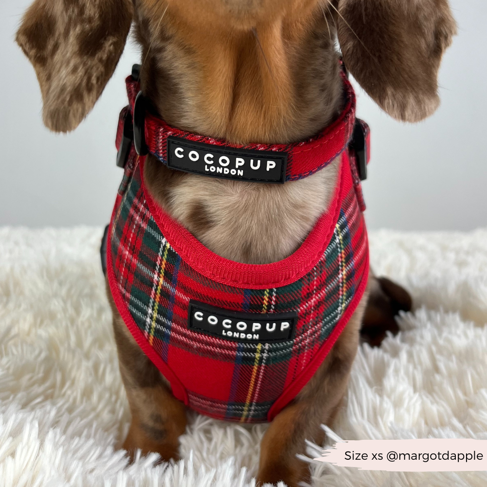 Cocopup London - Wholesale Tuig voor huisdieren - Hond - Tartan Verstelbaar NekHARNAS20