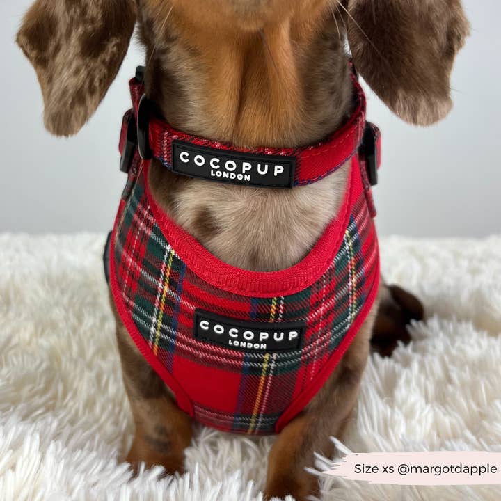 Cocopup London - Wholesale Pet Harness - Dog - Tartan Adjustable Neck HARNESS20