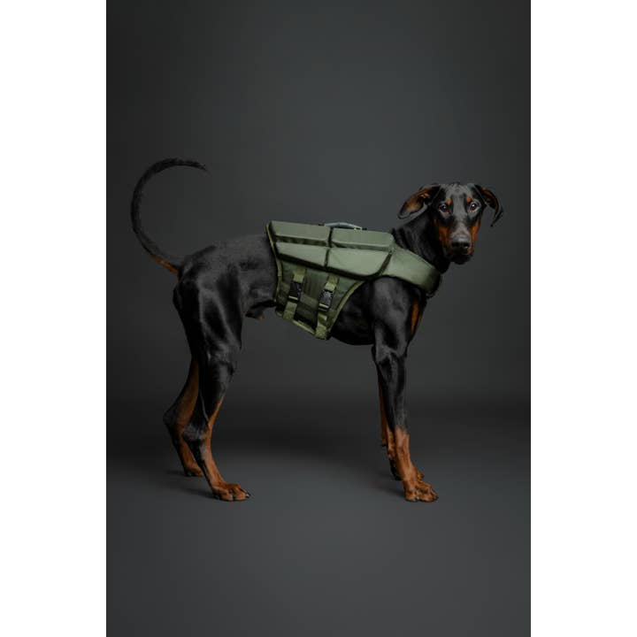 NOAH AND PAW LLC - Vente Veste – chien - Gilet de sauvetage pour chien NOAH AND PAW avec 4 mousses flottantes - Vert16