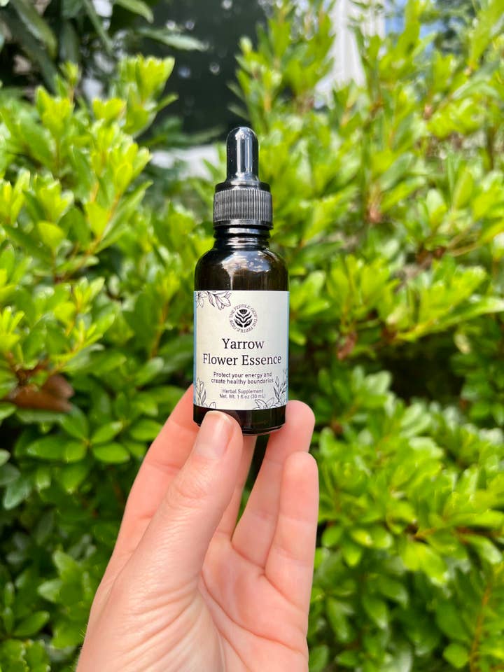 Essence de fleur d'achillée pour la vente par The Fertile Glow