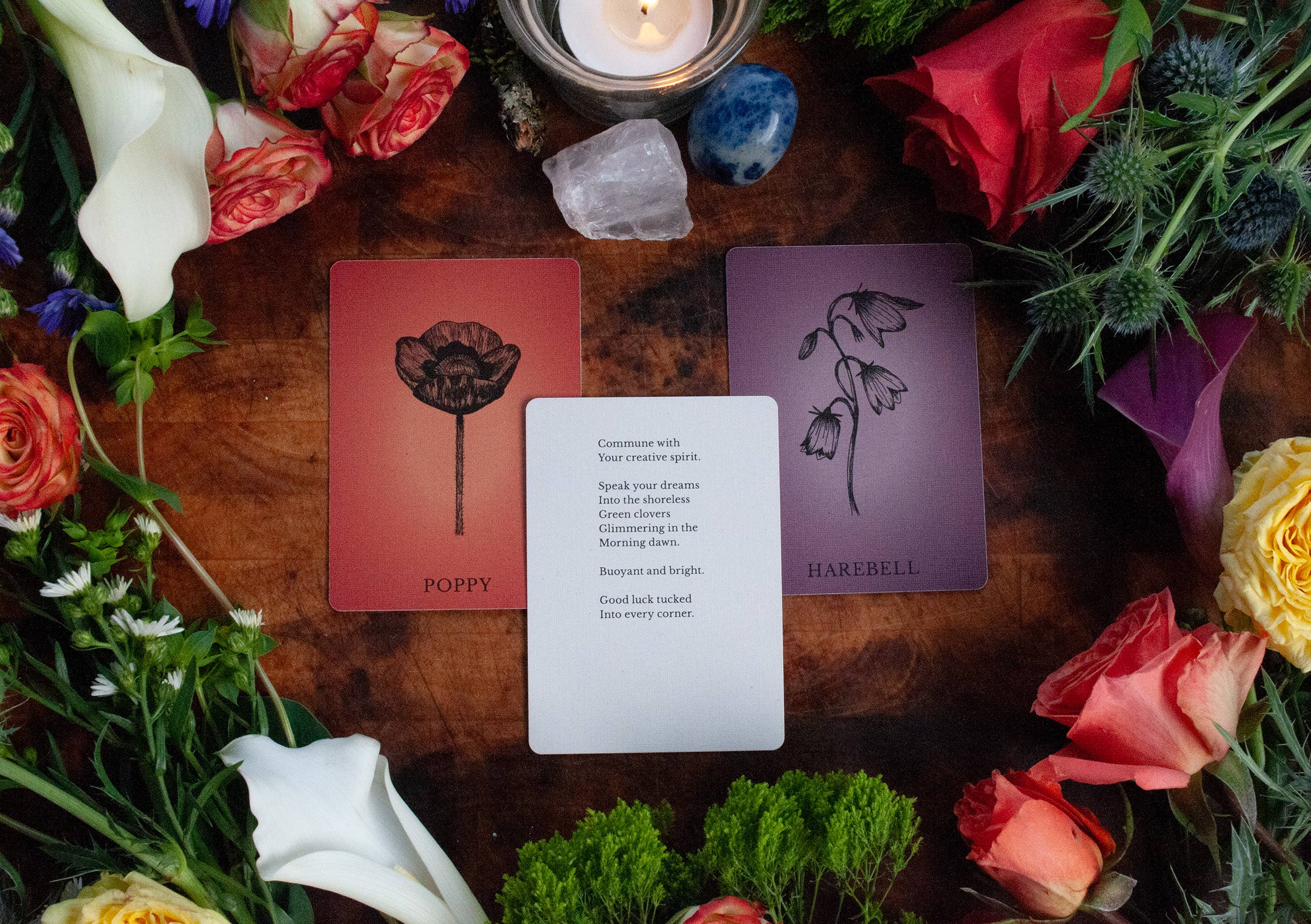 Velvetback - Wholesale Tarot Cards - 2.5" x 3.5" 60-Card Botanical Poetry Oracle Deck6