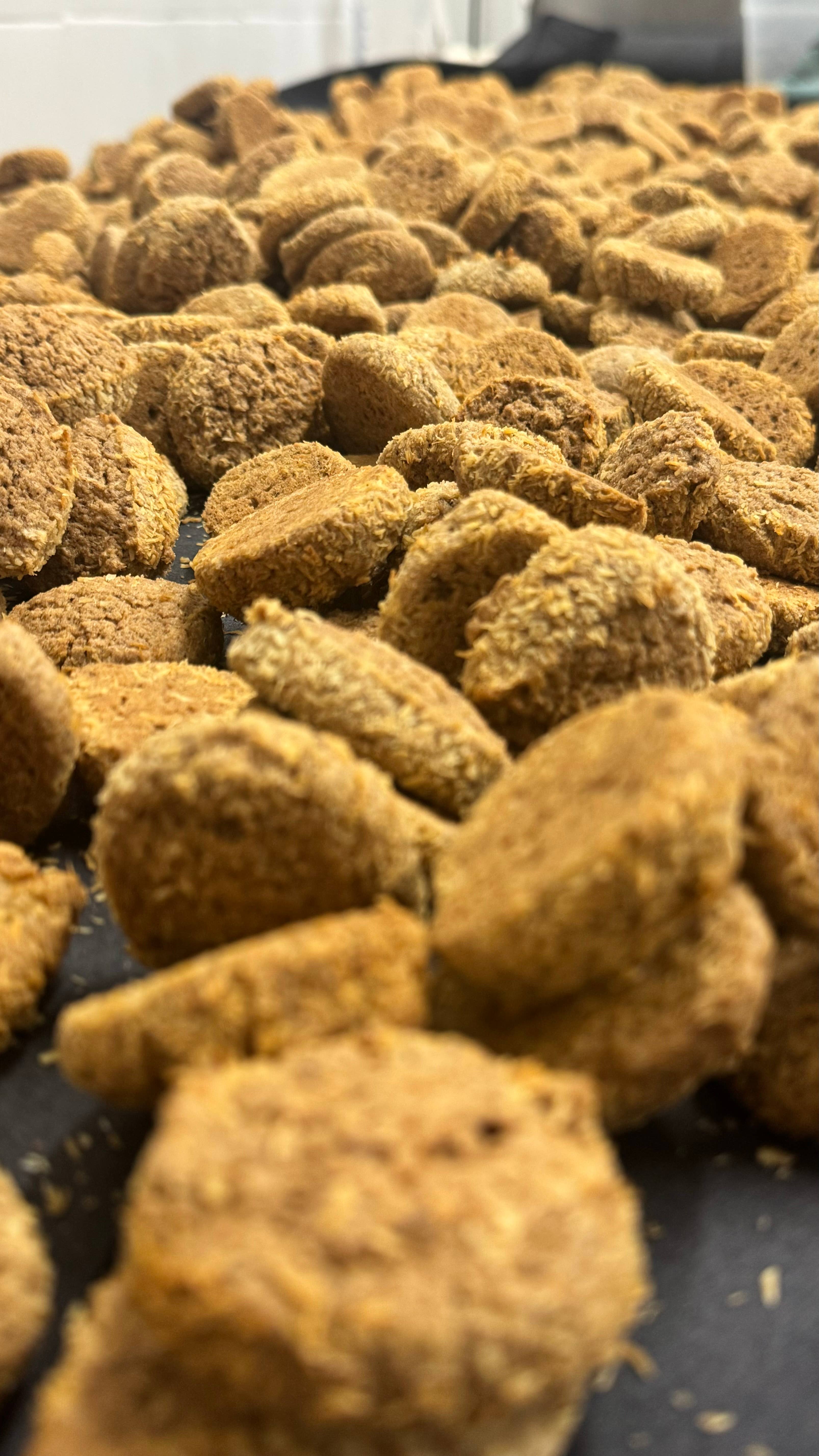 SPAZIOGOLOSO! laboratorio artigianale senza glutine - Wholesale Cookie - Denari with GLUTEN FREE buckwheat 500 g1