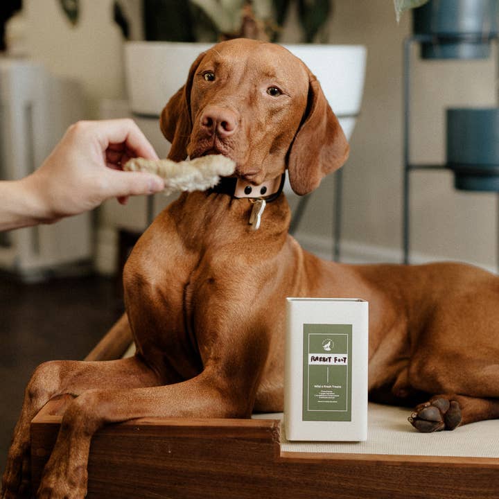 Wild n Fresh Treats - Wholesale Pet Treats - Dog - Dehydrated Rabbit Feet
