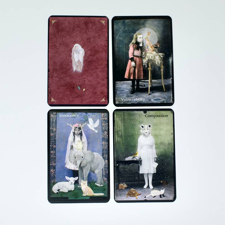 Red Wheel/Weiser LLC - Wholesale Tarot Cards - The Oracle of Rewilding: 44 Cards & 176-Page Guidebook10