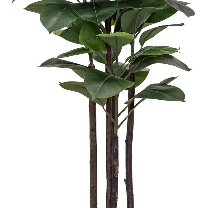 Maia Shop - Wholesale Artificial Plant - 6' Artificial Rubber Plant