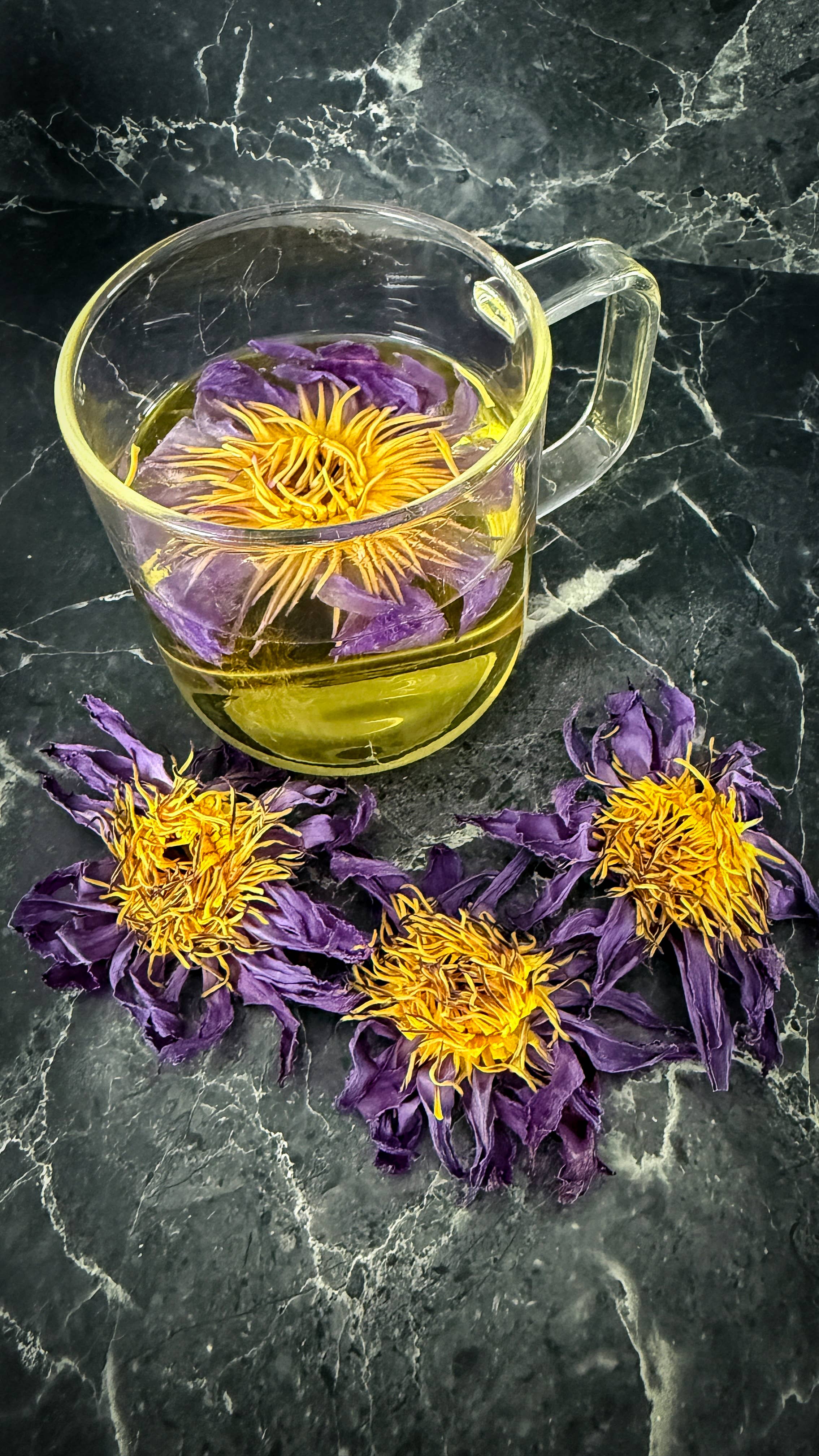 Lunar Herbals – Engroshandel Løs te – 3 hele egyptiske blå lotusblomster – håndplukkede2