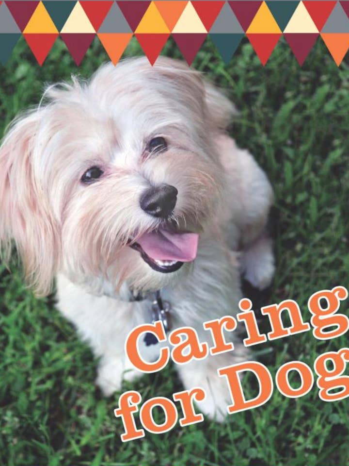 Cuidando de cães por atacado de Anamchara Books