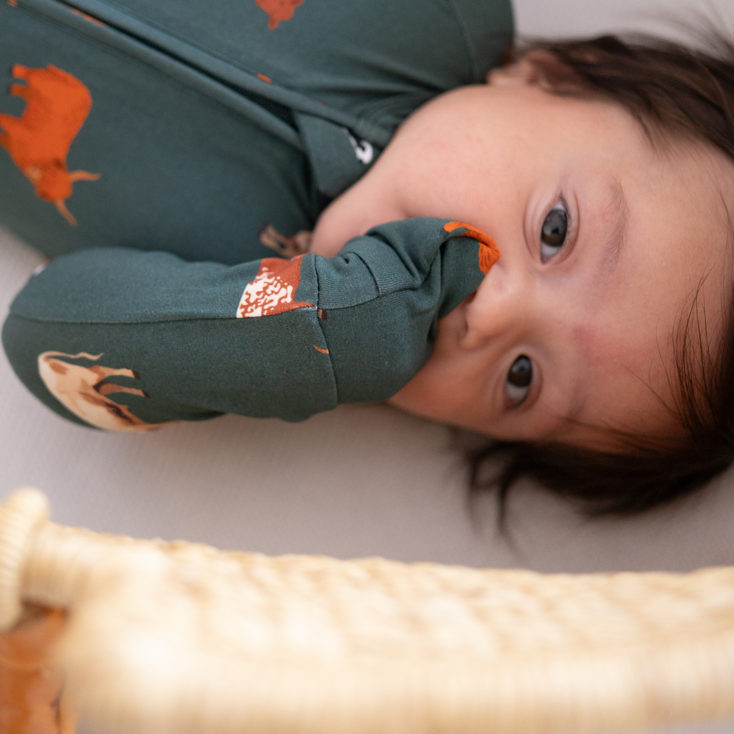 bug + bean kids - Wholesale Jumpsuit - Baby - Bamboo Zip Convertible Romper – Green Cow Baby Pajamas3