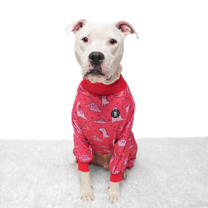 Cuddle-Saurus Pitbull Pajamas for wholesale by Pittie Clothing Co.