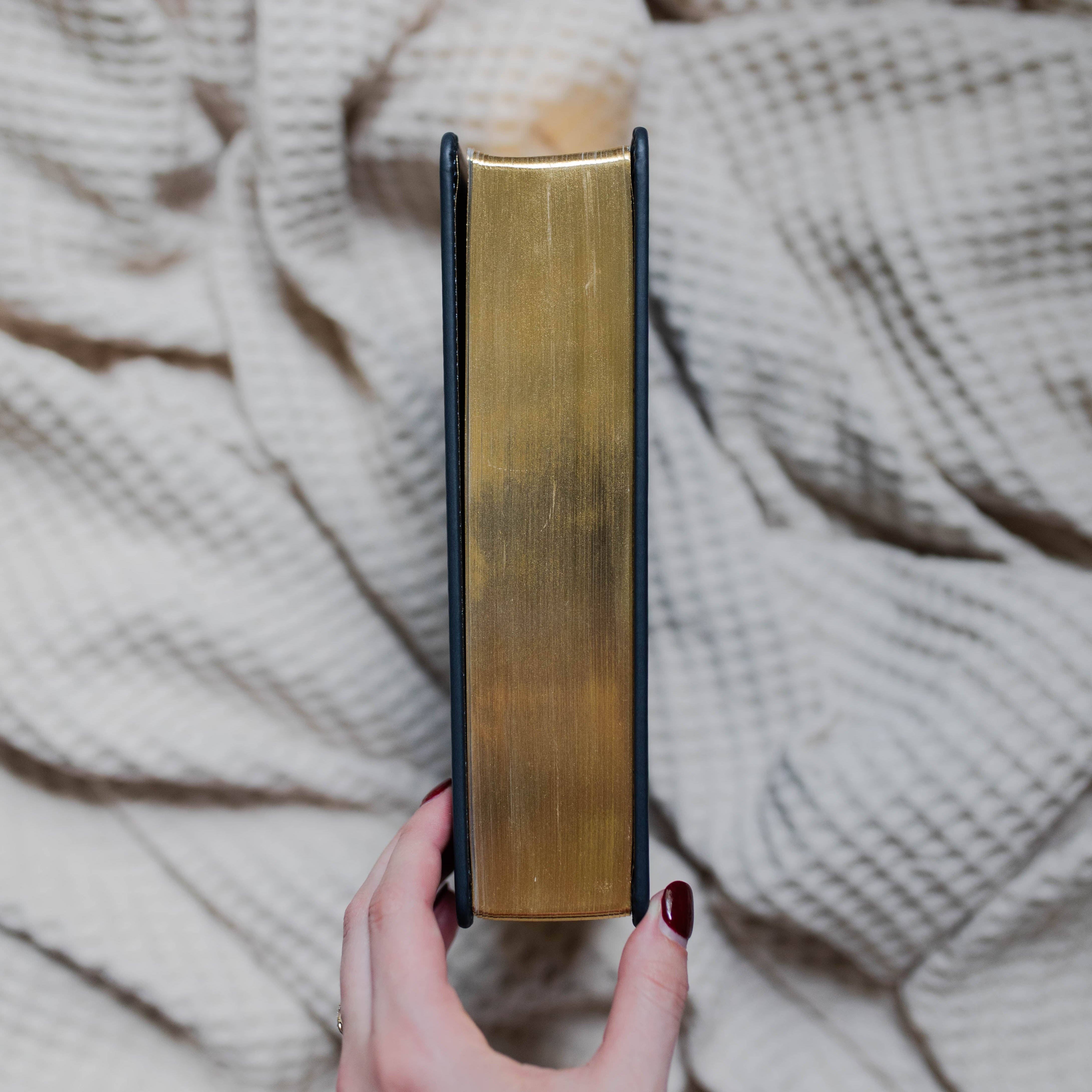 The Daily Grace Co - Wholesale Religion Book - ESV Journaling Study Bible | The Word3