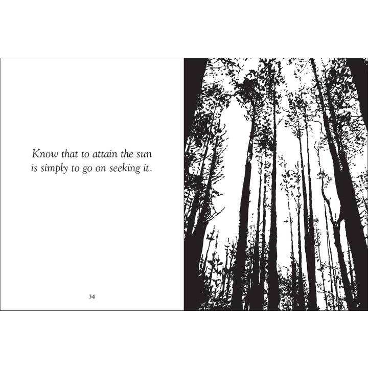 AdventureKEEN - Wholesale Nature & Outdoors - Things Trees Know4