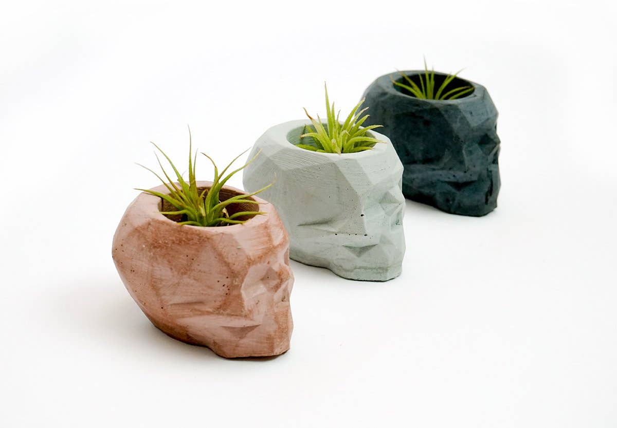 NATURAL BY HAGELSIEB - Wholesale Plant Pot - CONCRETE MINI SKULL7