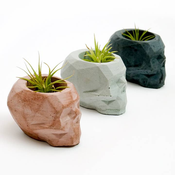 NATURAL BY HAGELSIEB – wholesale Plant pot – CONCRETE MINI SKULL7