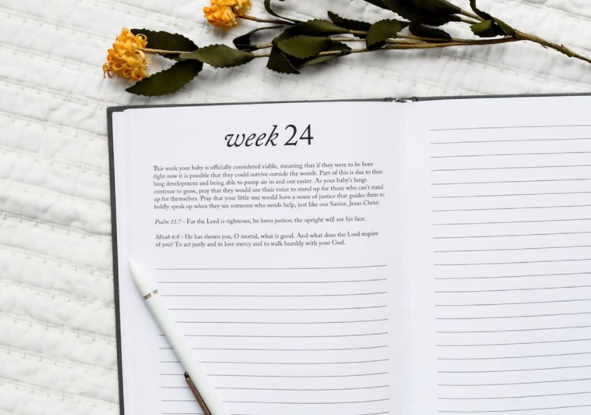 Duncan & Stone Paper Co. - Wholesale Journal/Diary - Maternity - Dear Baby: A Pregnancy Prayer Journal & Memory Book for Moms11