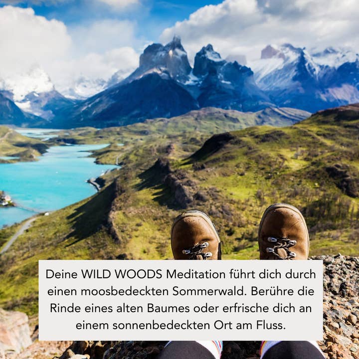 SCENTORIE. - Vendita all'ingrosso Candela in vasetto - Candela profumata alla cera di colza WILD WOODS 300g/60h 3