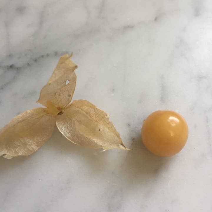 6 Pineapple Ground Cherry Starter Plants, Full Sun, Annual Fruit, Steep Hill Garden for wholesale by Steep Hill Garden