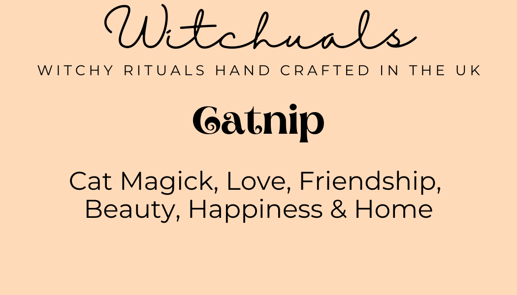Witchuals - Rituals & Spellwork Apothecary - Wholesale Meditation Supplies - Catnip1