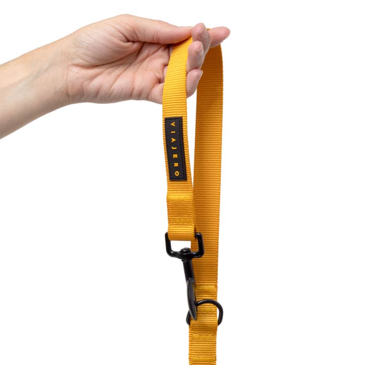 Nylon leash and collar set: Yellow for wholesale by Viajero