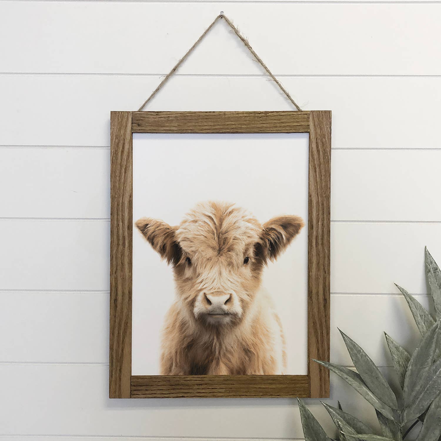 Hangout Home - Wholesale Sign - Baby Highland Cow Wood Farmhouse Sign Cute Animal Wall Art1
