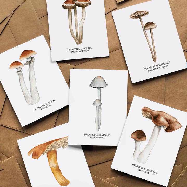 Cofanetto Magic Mushroom per la vendita all'ingrosso da parte di Lucky Bat Paper Co.