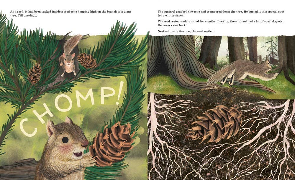 Sourcebooks - Wholesale Nature & Outdoors - Listen to the Language of the Trees (TP)2