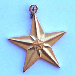 Guld Matte Star m/fastgørelse til bånd eller kæde for engroshandel hos Military Patches & Pins