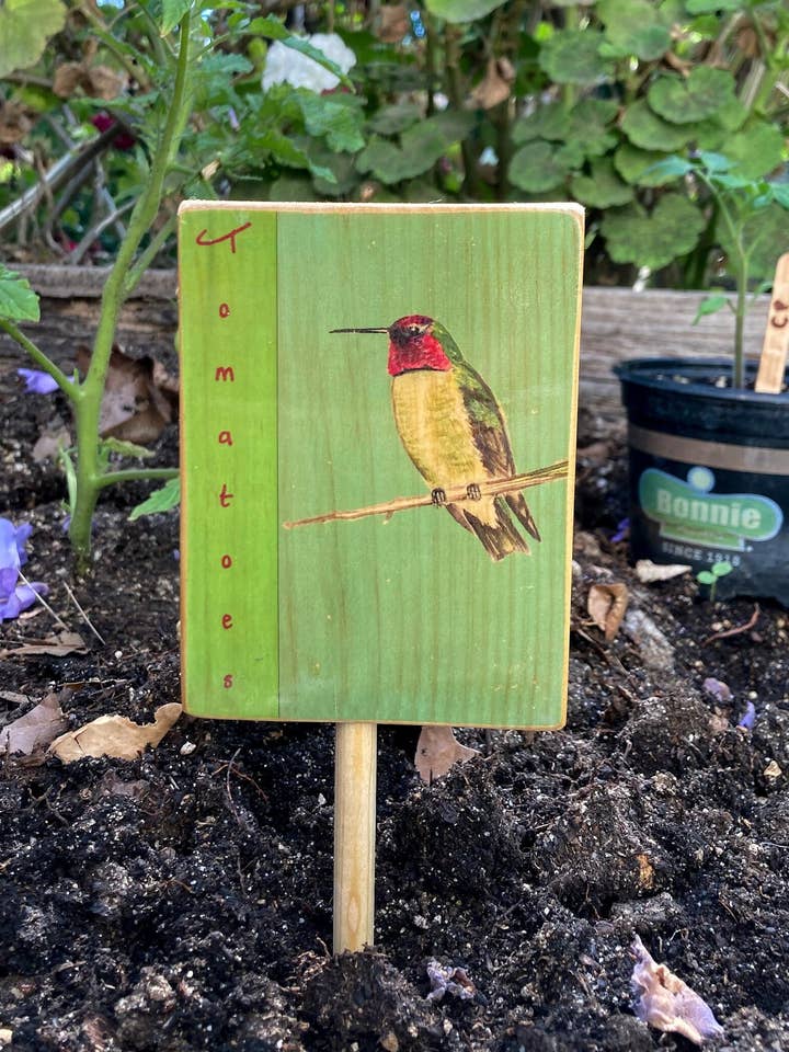 Marcador de jardín de pájaros personalizado, arte de pájaros, arte de jardín, colibrí para venta al por mayor de Streetlightbirds
