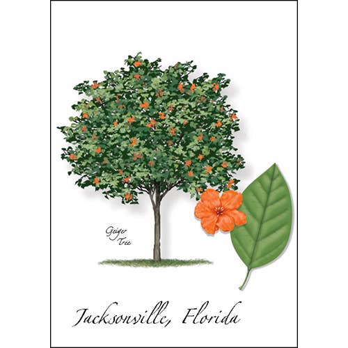 Earth Sky + Water - Wholesale Everyday Greeting Card - Geiger Tree