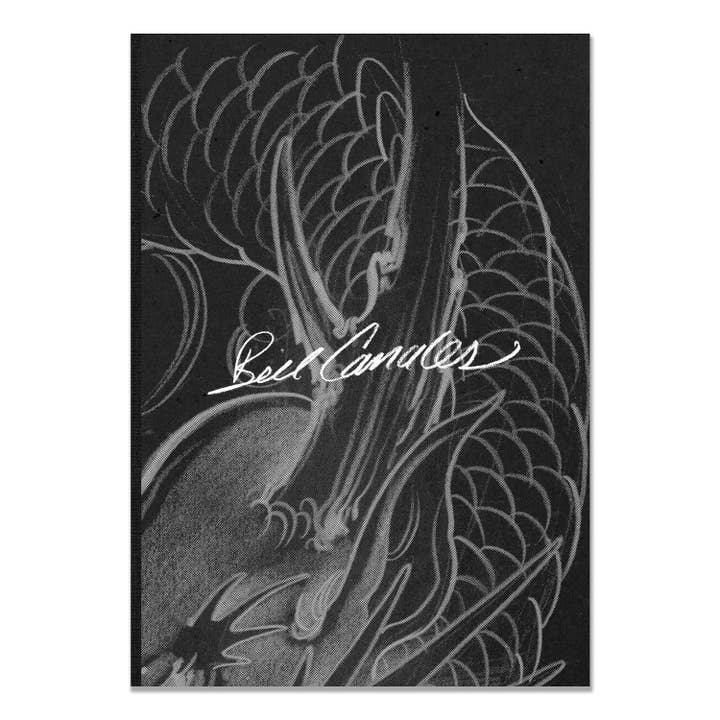 Schizzi di Draghi Quotidiani – Estate di Bill Canales per la vendita all'ingrosso da parte di Kintaro Publishing