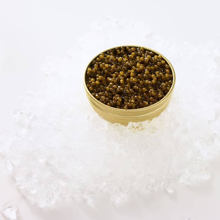 FOODBIOTIC - Wholesale Fish/Seafood - Amur Royal Gold Caviar 50g