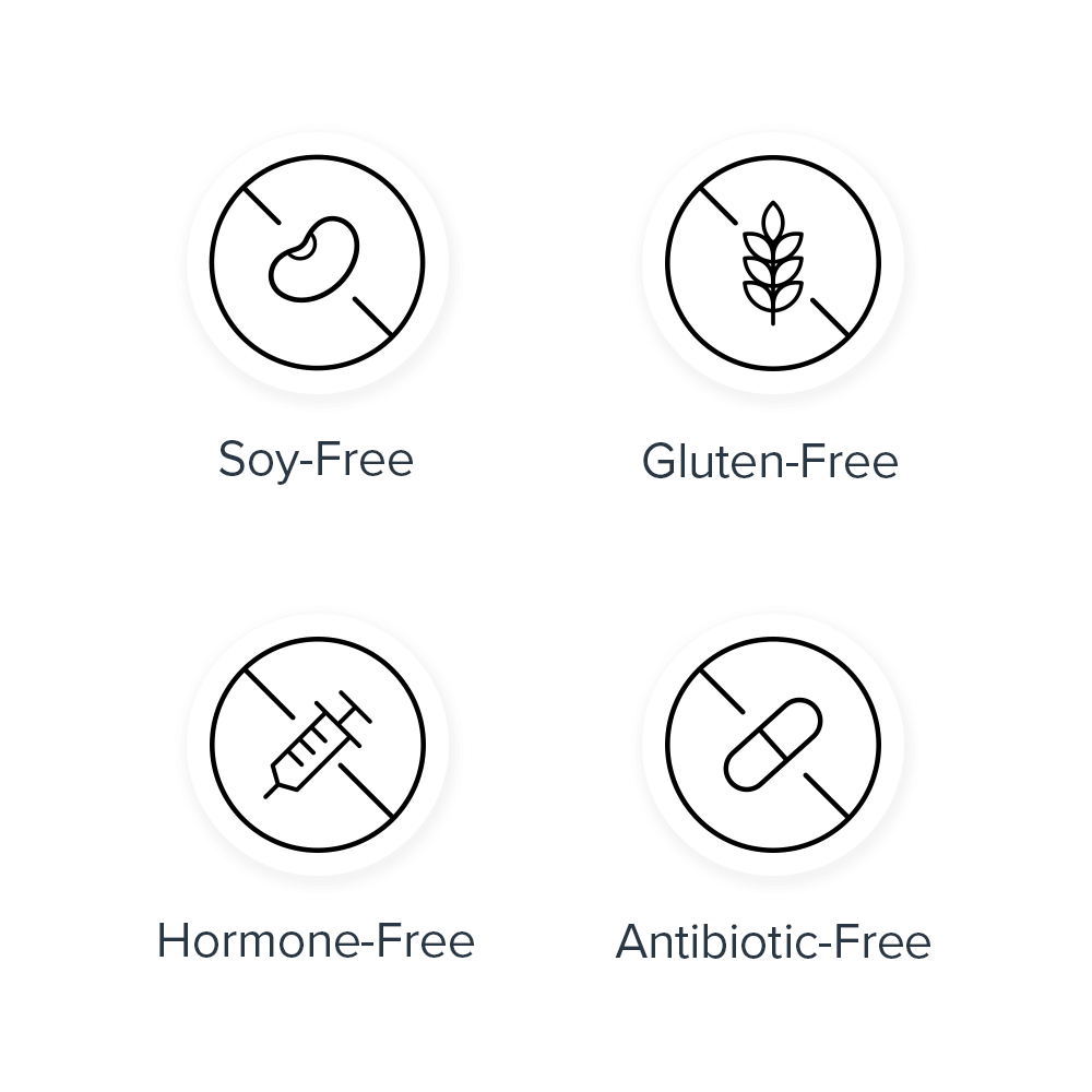 Legion Athletics, Inc. – wholesale Snack bar – Protein Crispy Treats5