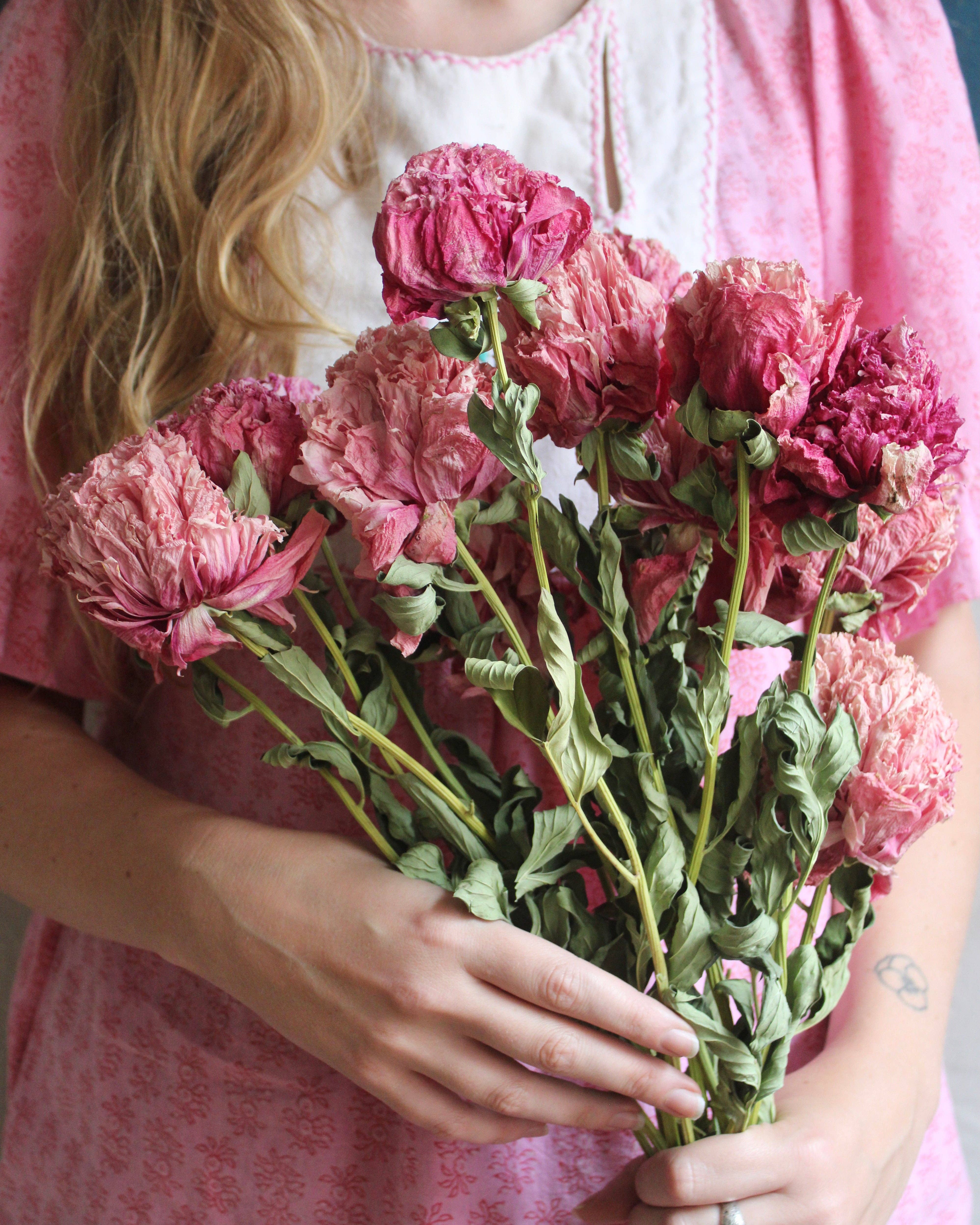 Roxanne's Dried Flowers - Wholesale Dried/Pressed Flowers - Peony - Dried4