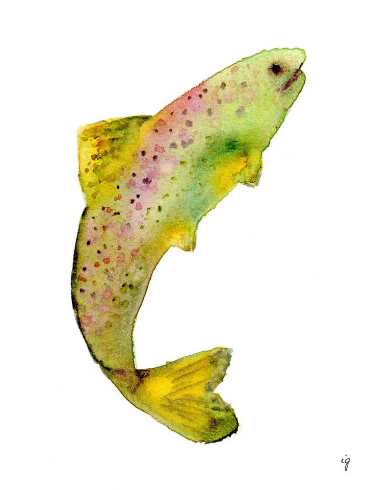 Salmone per la vendita all'ingrosso da parte di SAS {Seattle Art Studio}