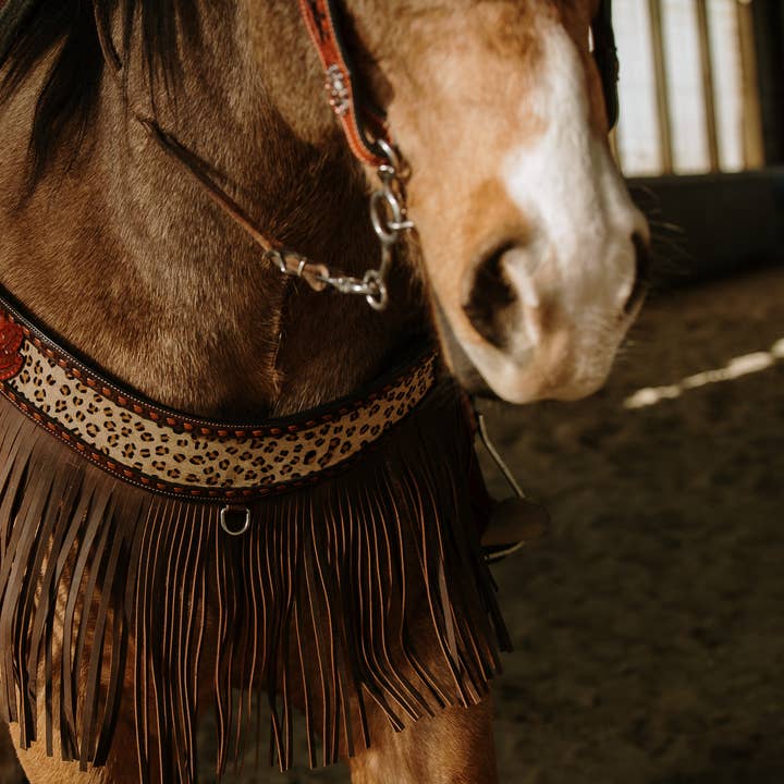 Wild Child Fringe Tripping Collar for wholesale by Schulz Equine