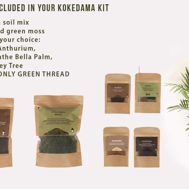 Kokedama Kit Refill – Make Another Moss Ball for wholesale by Kazumi Garden