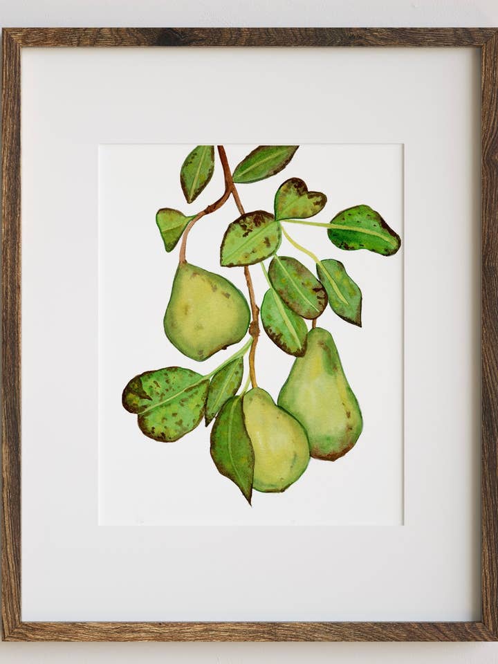Summer Pears Art Print for wholesale by Jradartdesign