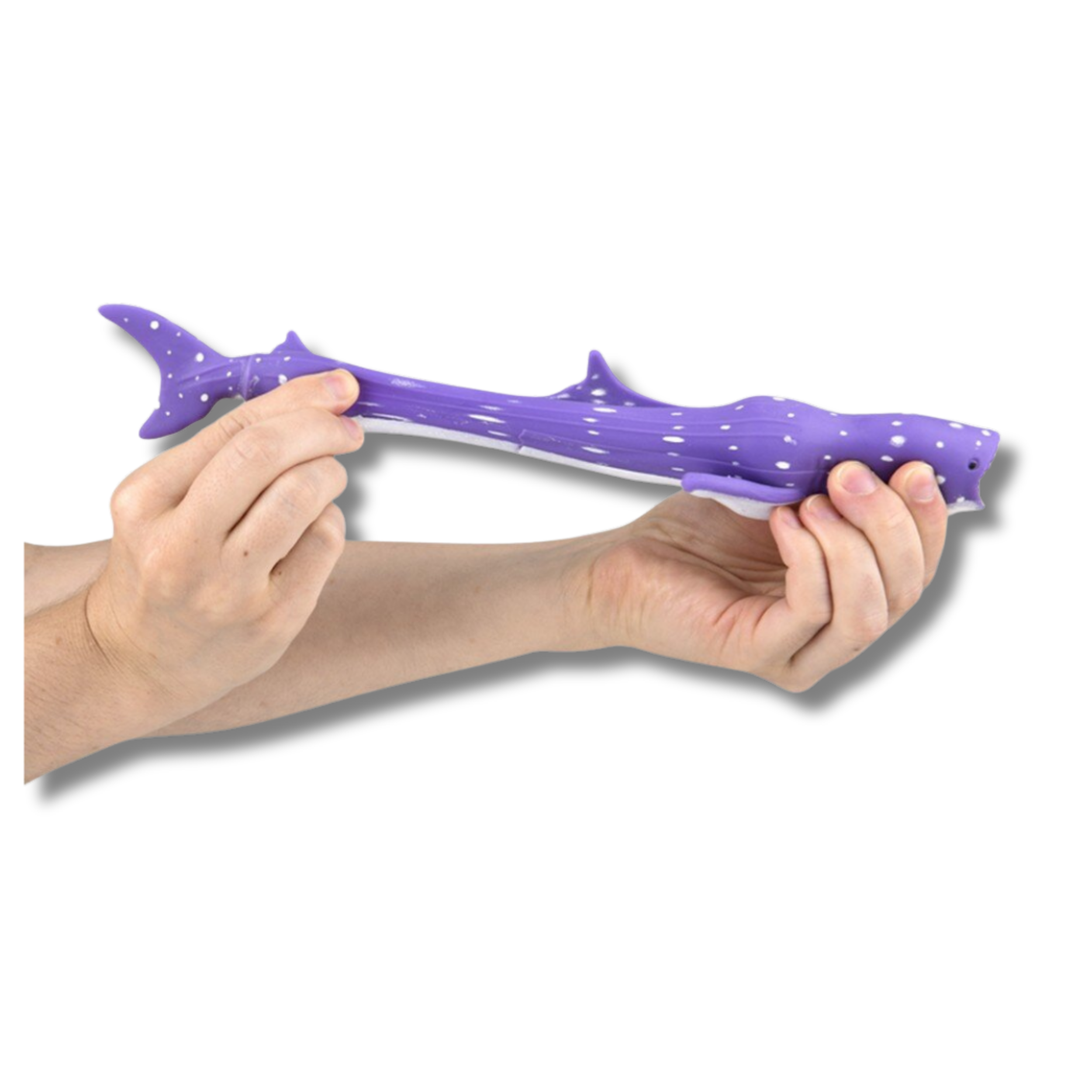 Pagdee Kids Juniors – wholesale Squishy toy – Kids & Baby – Holiday Décor Stretchy Sand Whale Shark Toy For Kids2
