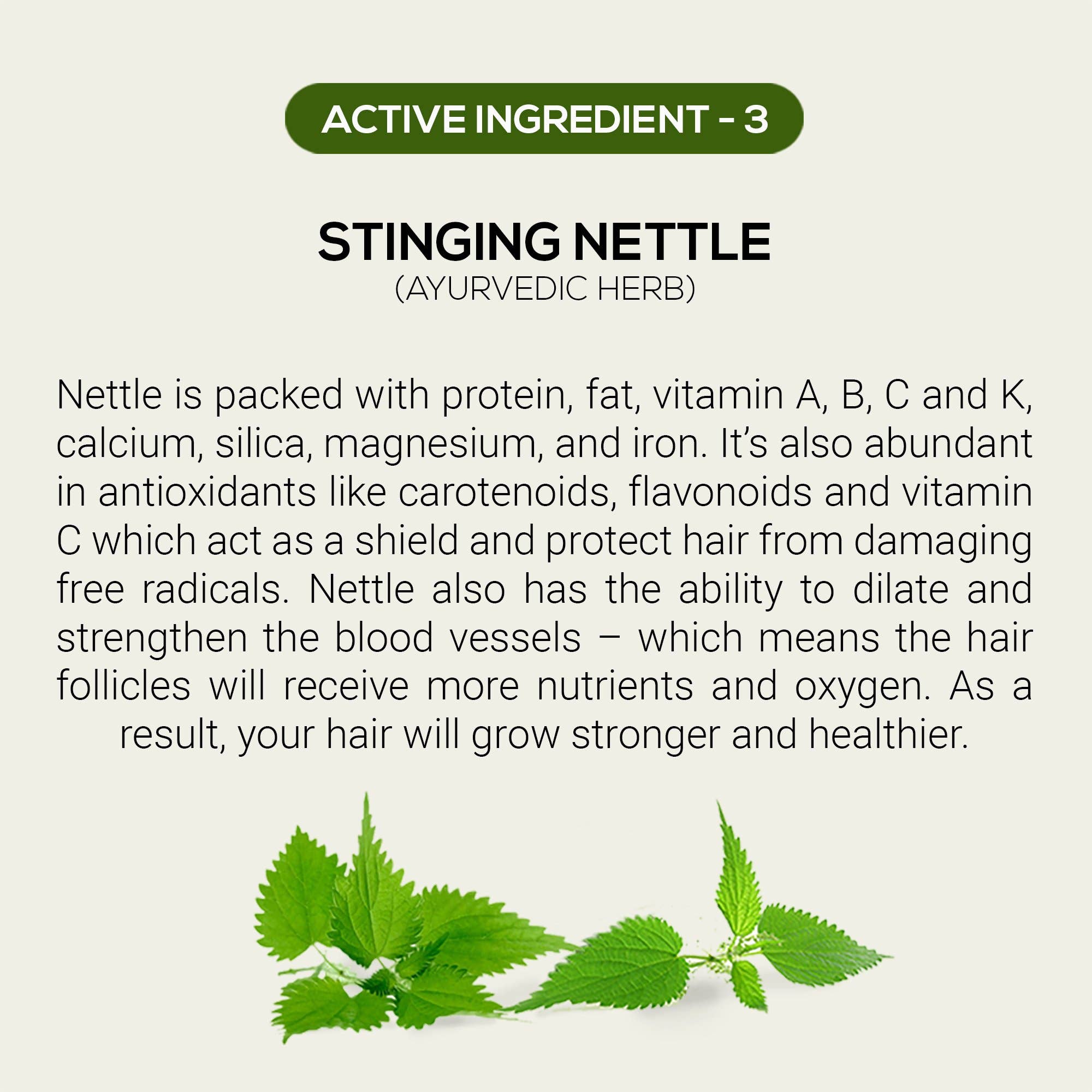 Rthvi - Wholesale Hair Serum - Restore Advanced Hair Thickening Serum4