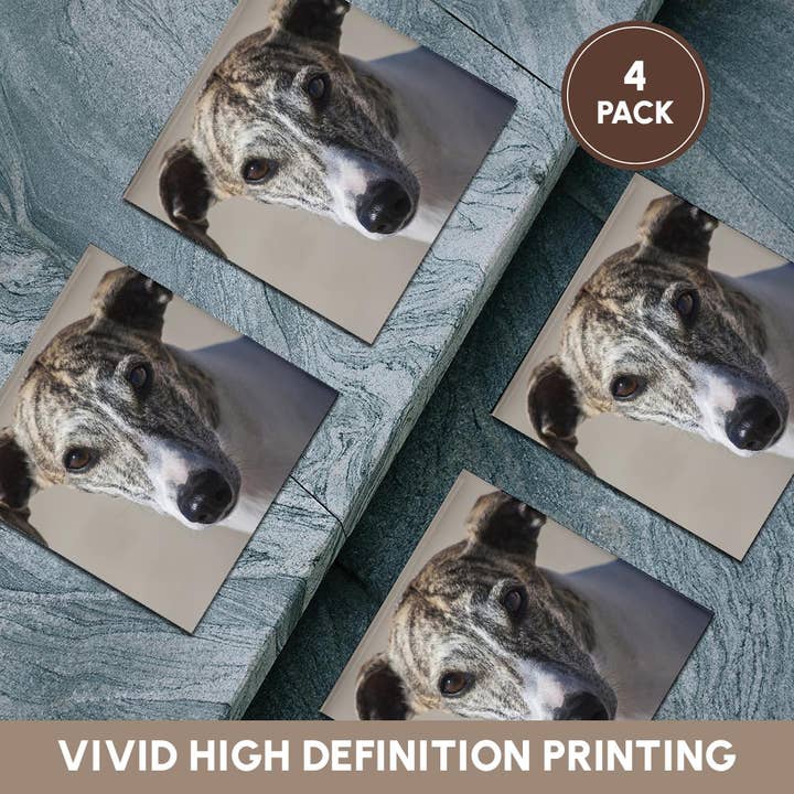 3dRose - Wholesale Coasters - 3dRose, Portrait of a Whippet, Coaster5