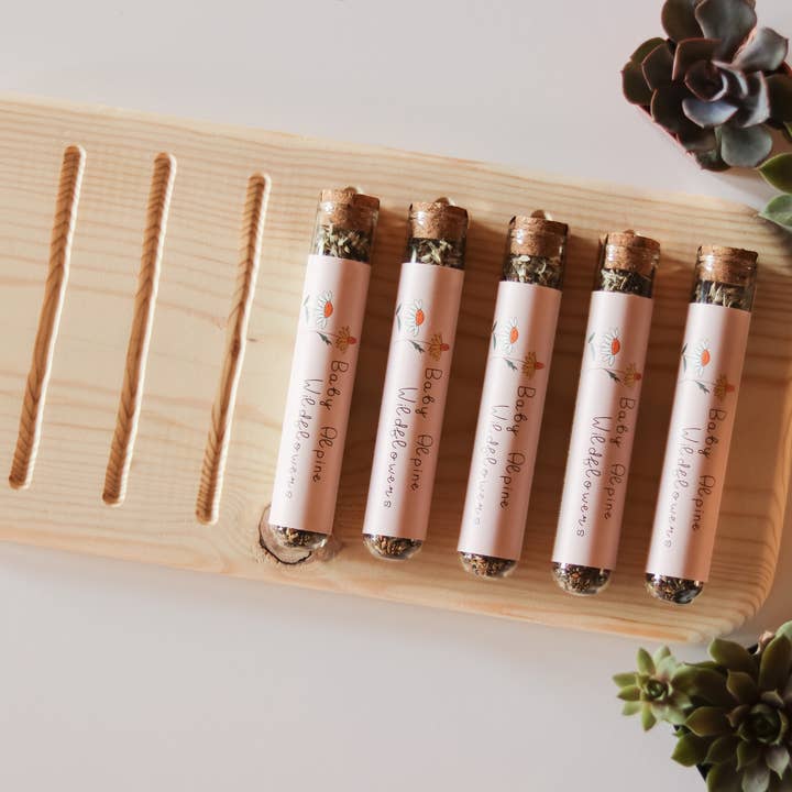 Wildflower Seed Mix Display for wholesale by Elevation Goods